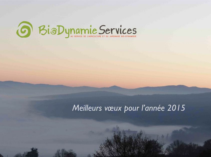 voeux_2015_bds.jpg voeux_2015_bds.jpg