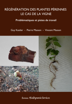 Nouvelle parution : régénération des plantes pérennes, le cas de la vigne.