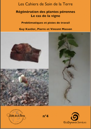 Ouvrage sur la régénération de la vigne et des plantes pérennes