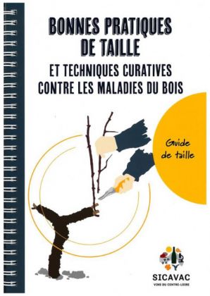 Bonnes pratiques de taille et techniques curatives contre les maladies du bois