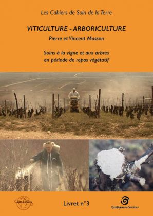 Viticulture - Arboriculture, soins à la vigne et aux arbres en période de repos végétatif