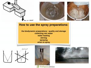 How to use the spray preparations